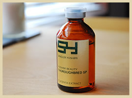 サングリエヨシミサラブレッドSP