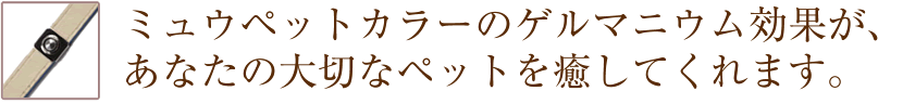 サングリエヨシミ