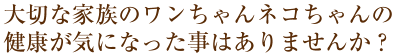 サングリエヨシミ